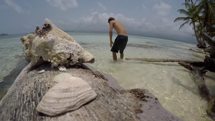 A man picks up a conch shell in the water on the shoreline of a tropical beach and pretends to use it as a phone