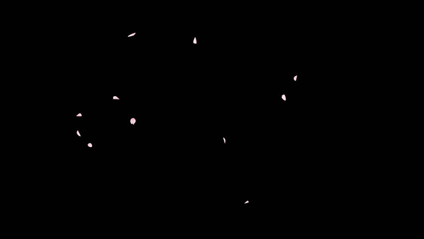 Cherry Blossom Petals Falling Loop on Alpha Channel. 3D rendering. Cherry blossom petal falling with alpha channel you can place on footage or background and easier to change colour on seamless loop.
