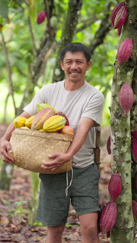 Portrait of a smiling indonesian cocoa farmer holding a basket of harvested pods on a cacao plantation, rural livelihood