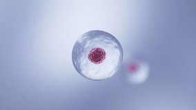 Human Cell division, cells under a microscope 3d animation. - Powered by Shutterstock - Get 15% off with code: PIKWIZARD15