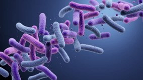 Prebiotic or probiotic medical background bacteria, Lactobacillus , 3d animation. - Powered by Shutterstock - Get 15% off with code: PIKWIZARD15