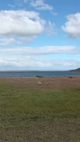 Journey through the breathtaking landscapes of Los Alerces National Park, where vibrant green meadows meet pristine waters under a vast blue sky.