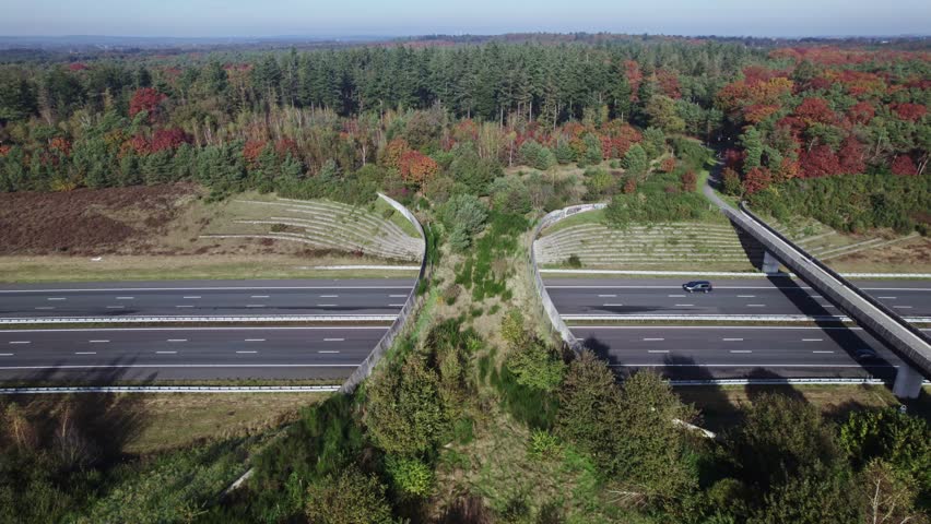 Aerial pan of wildlife crossing ecoduct De Borkeld forming a safe natural corridor bridge for animals to migrate between conservancy areas with a bicycle bridge next to it