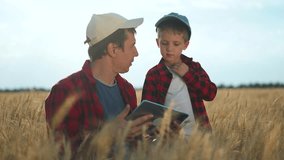Farmer and son together in wheat field. Learning farming with tablet technology. agriculture bonding. Farmer teaching son with tablet. Technology in farming field. Family exploring tablet together. - Powered by Shutterstock - Get 15% off with code: PIKWIZARD15