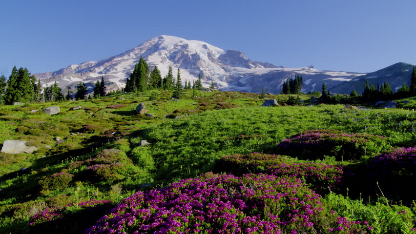 trails viewing at Mt. Rainer National Park, Washington, United States