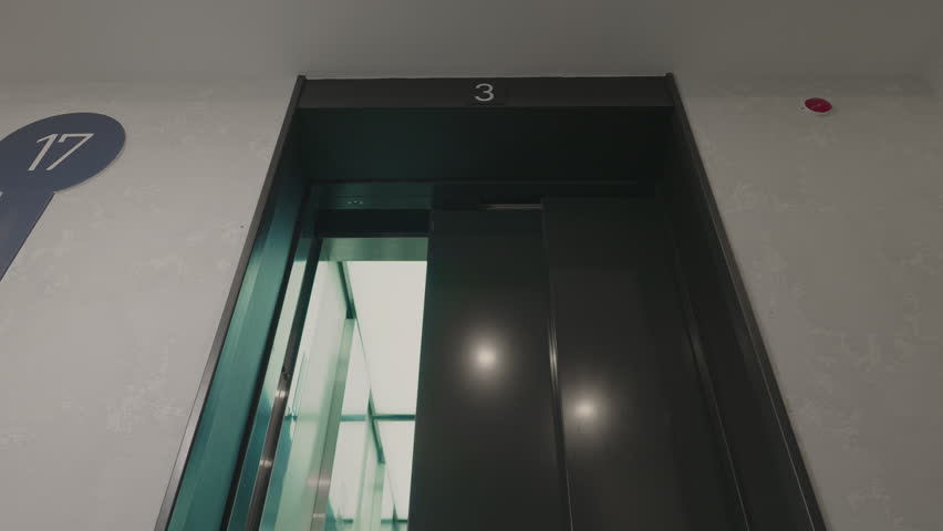 Shutterstock Video