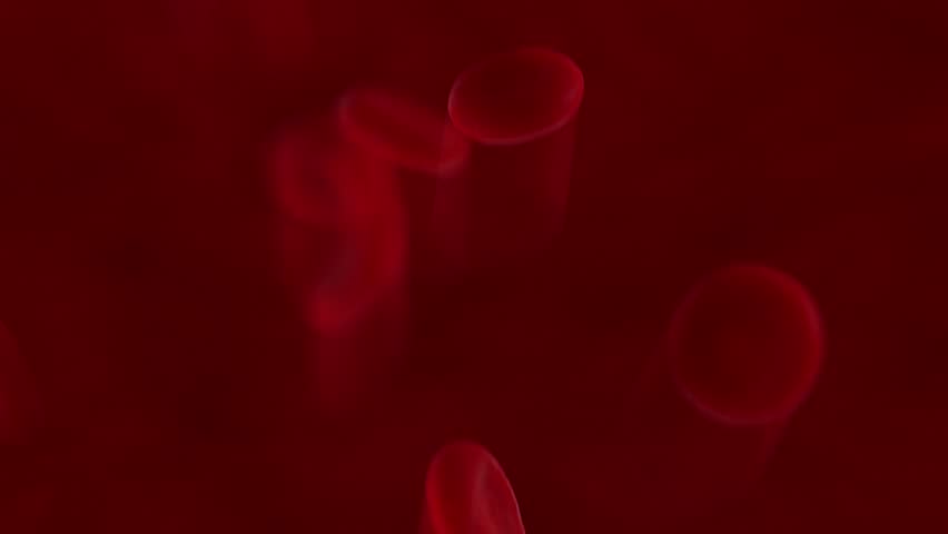 Red Blood Cells Flow Video in 4K | Blood Cells Under Microscope UHD Video | Red Blood Cells Streaming Video in UHD