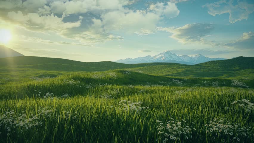 Meadow of Grass and Flowers in a Sunny Cloudy Day - Loop - Abstract Fantasy Nature Landscape	