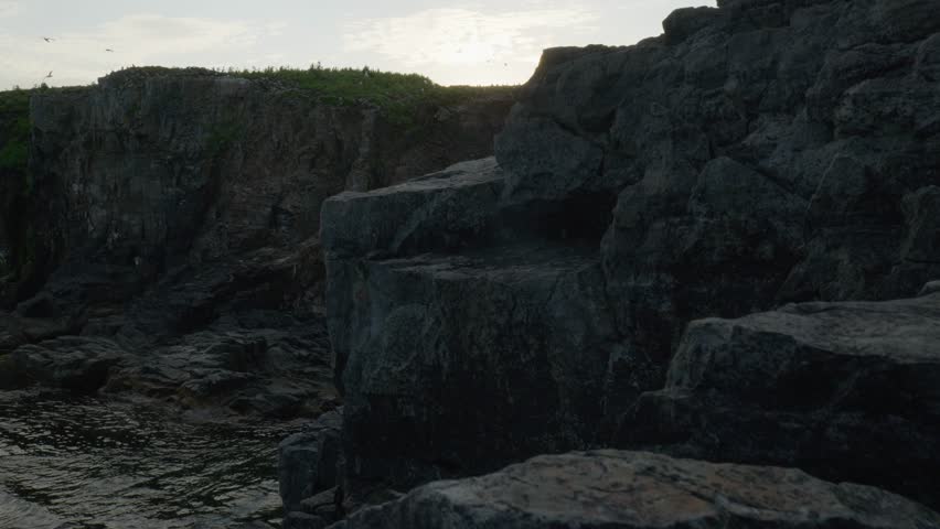 Elliston Puffin Viewing Site, Newfoundland, Canada. Summer 2024