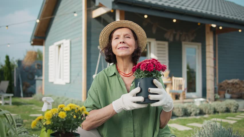Mature Caucasian woman sitting on green grass. Wearing white gloves for protection. Holding flowers growing in small pots. Gardening in front of her house. Planting greenery in garden.