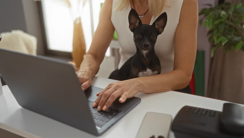 Woman working at laptop with chihuahua on lap in home decor store setting featuring plants and modern indoor surroundings