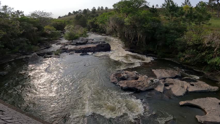 Rapids river in the middle of a rural forest landscape