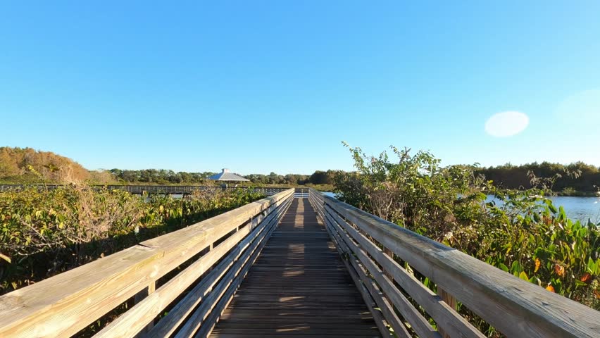 First person subjective point of view walking along the boardwalk just after sunrise at Green Cay Wetlands Nature Preserve in Boynton Beach, Florida