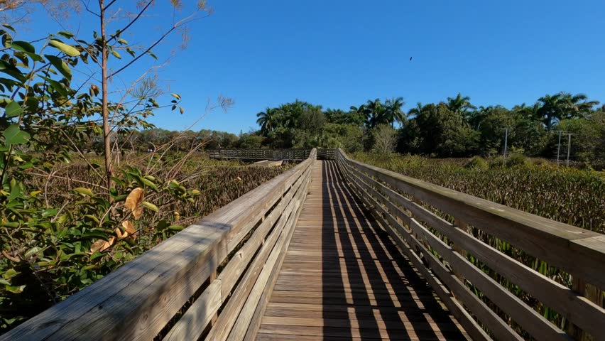 First person subjective point of view walking along the boardwalk in a sunny afternoon at Green Cay Wetlands Nature Preserve in Boynton Beach, Florida