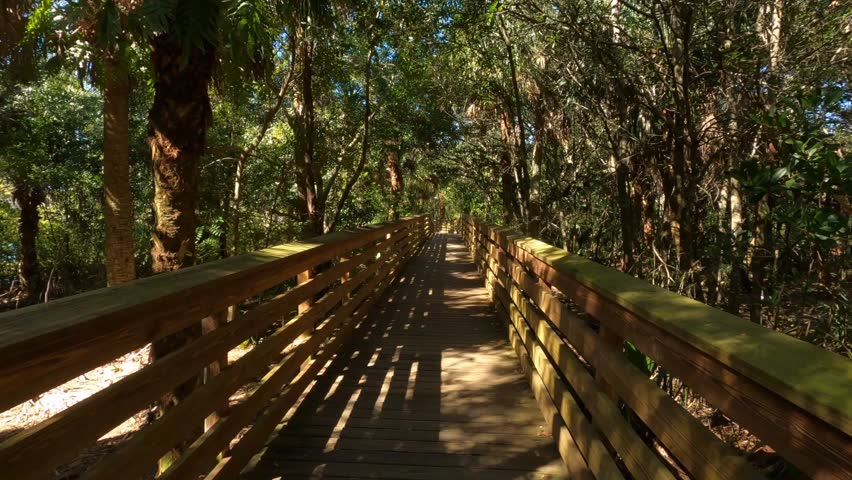 First person subjective point of view walking along the boardwalk through the woods at Green Cay Wetlands Nature Preserve in Boynton Beach, Florida
