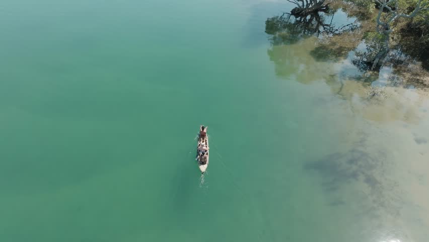 Stunning drone footage of a canoe gliding through serene mangroves in the Illawarra region, showcasing lush greenery, winding waterways, and a tranquil connection to nature.