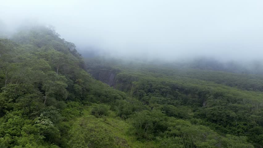 Lush Mountain Forests and Lava Canyons Shrouded in Heavy Fog – A Dramatic Aerial View