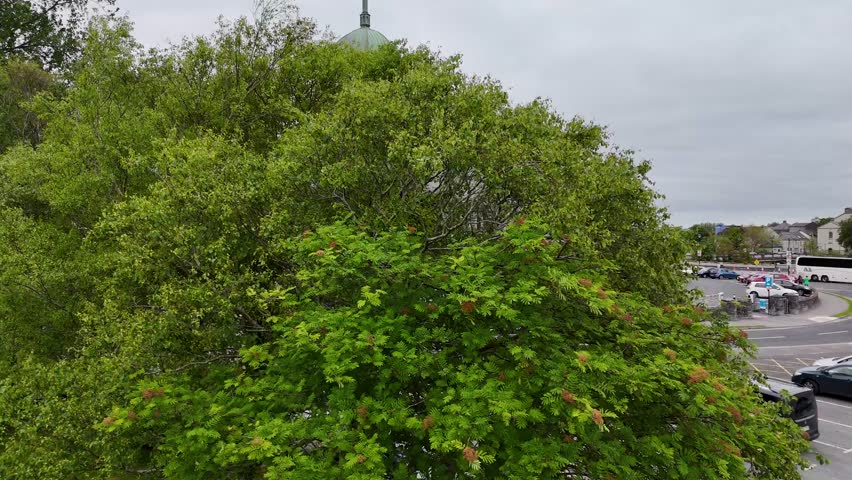 Aerial view of Galway Cathedral in Galway, Ireland