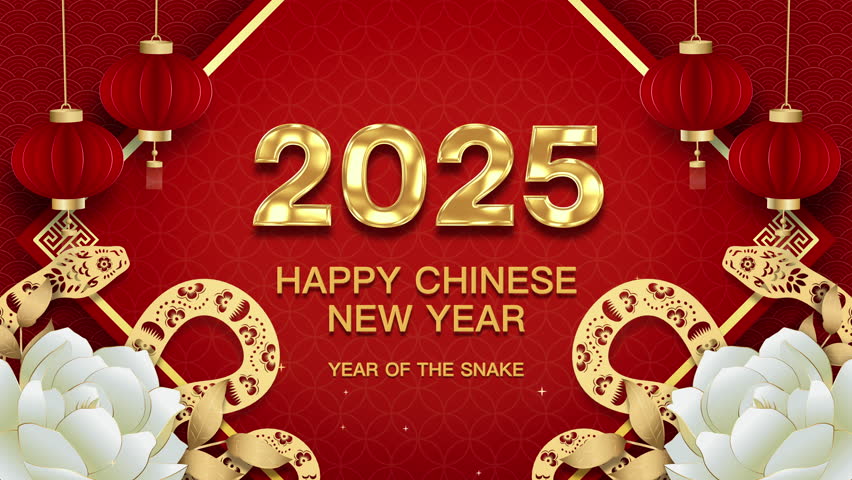 Shutterstock Video
