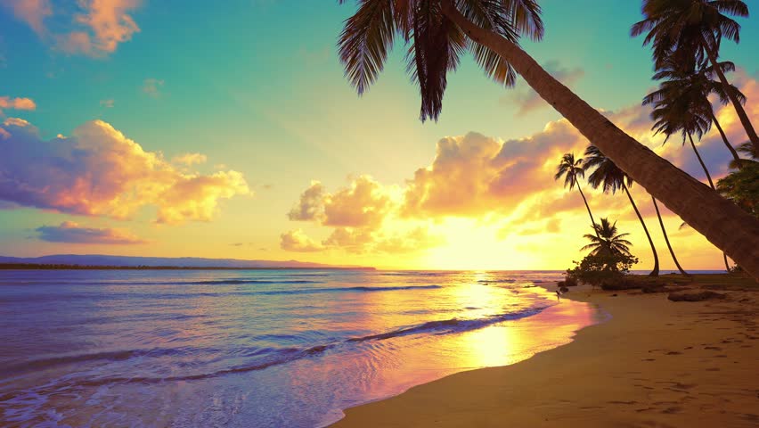 Calm waves lapping a sandy beach. Colorful summer sunset on a paradise island in the Caribbean. Great summer sunset. A beach with palm trees goes into the sea against the backdrop of the setting sun.