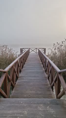 Wooden pier by the lake leading into a foggy scene, surrounded by tall dry reed. The sunrise sun is faintly visible through the mist, creating a serene and tranquil atmosphere. Calm and ethereal scene