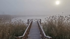 Wooden pier by the lake leading into a foggy scene, surrounded by tall dry reed. The sunrise sun is faintly visible through the mist, creating a serene and tranquil atmosphere. Calm and ethereal scene - Powered by Shutterstock - Get 15% off with code: PIKWIZARD15