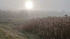 Foggy landscape with dry, frosted grass and plants and the sunrise sun is faintly visible through the mist, creating a ethereal atmosphere. Bare trees are scattered in the background - Powered by Shutterstock - Get 15% off with code: PIKWIZARD15