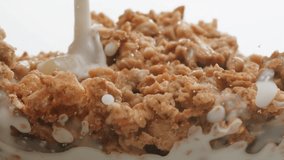 Whole grain cereals with fresh milk for breakfast, healthy breakfast with blueberry berries and yougurth kefir. Cooking morning breakfast. - Powered by Shutterstock - Get 15% off with code: PIKWIZARD15