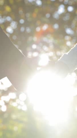 Vertical video. A ray of sunshine shines between the hands of bride and groom, held together.
