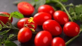 Tomato. Cherry tomatoes Fresh Ripe natural little tomatoes close-up. Organic tomato with leaves rotating on black background. Macro shot. Garden, Gardening concept. Ketchup, pasta, sauce ingredient  - Powered by Shutterstock - Get 15% off with code: PIKWIZARD15