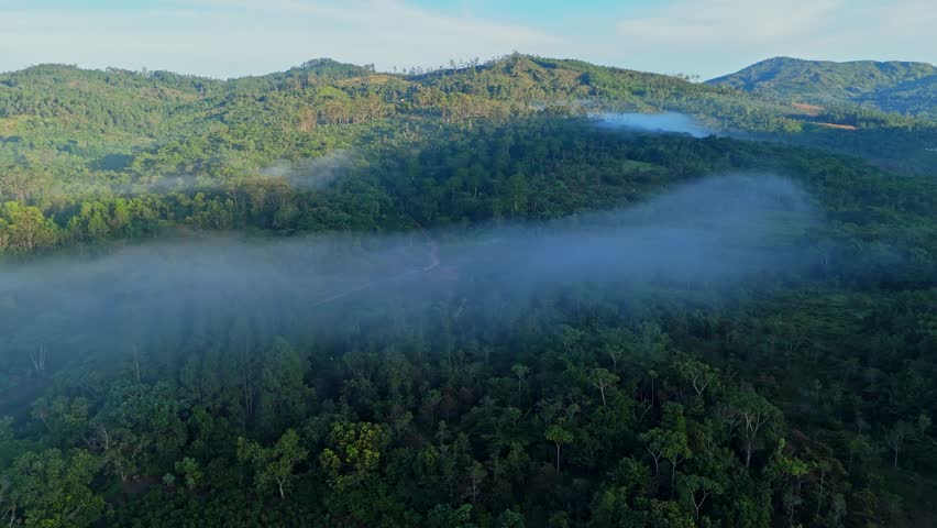 Hiking path in National Park of Dominican Republic surrounded by tropical trees in sunlight. Fog hovering between valleys. Slow drone flyover wide shot. MONTAÑA LA HUMEADORA NATIONAL PARK.