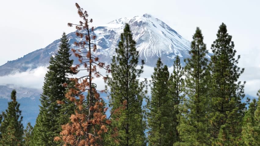 Snow Capped Mount Shasta in Northern California from the Sky