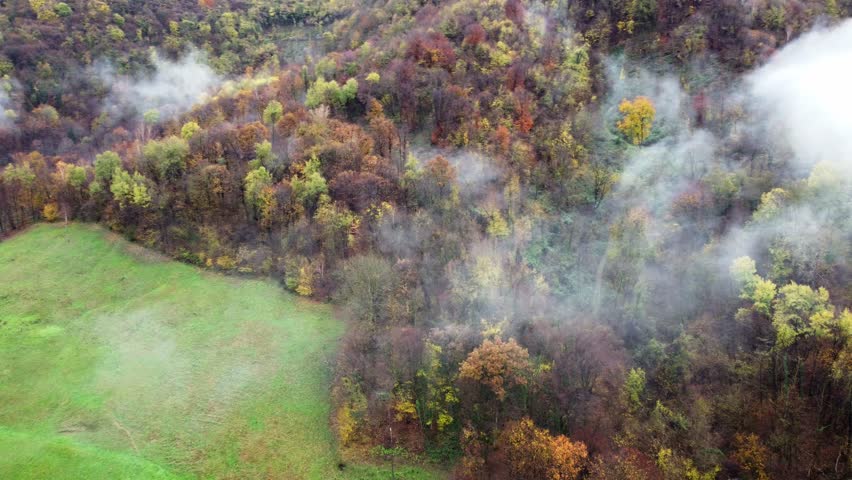 fall season yellow and orange colours foilage drone reveals scenic foggy misty nature forest woods landscape