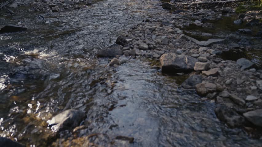 A peaceful stream flows over rocks along the John Muir Trail, surrounded by lush greenery