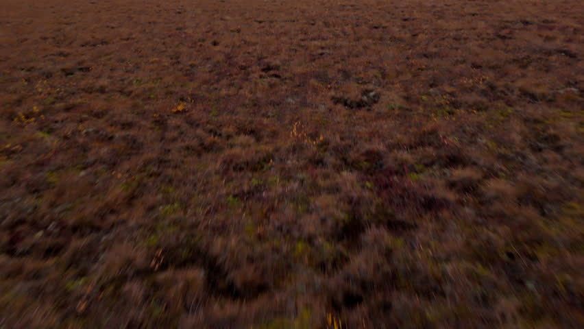 Autumn Fields And Wilderness - Wright Pass In Yukon, Canada - Drone Shot
