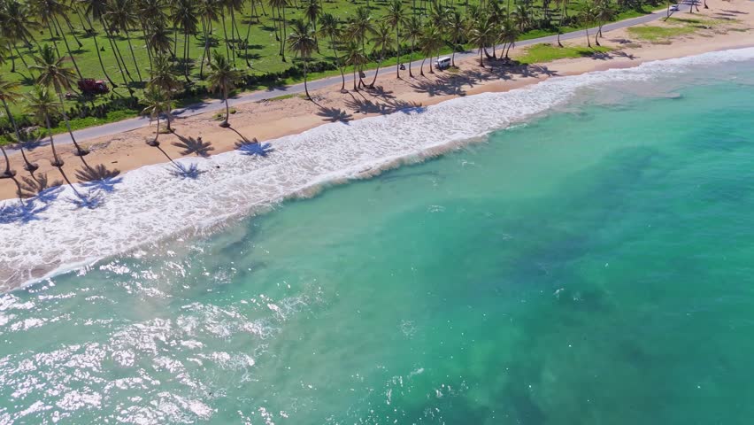 Drone following scooters driving in middle of palm trees, along a paradise beach