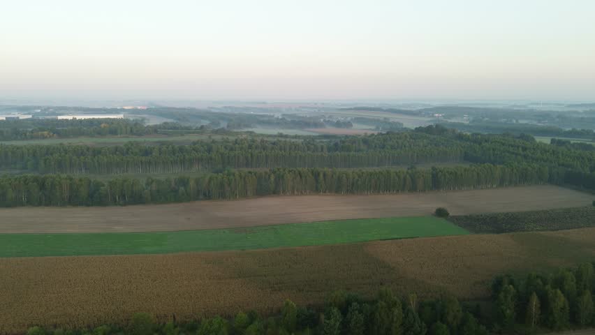 Aerial view of misty rural landscape at sunrise