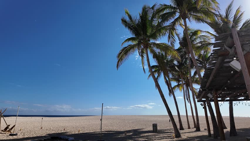 Still shot of a Beach in Cabo San Lucas Mexico near San José del Cabo with palm trees swaying in the wind.