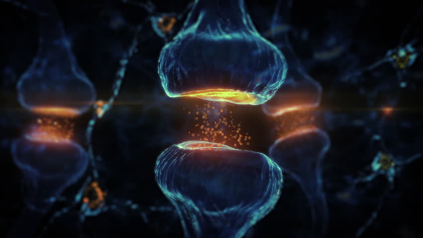 Biology Nerve Cell Biomedicine concept, 3d rendering. Neurotransmitter Release, Synaptic Transmission In The Brain, Information Transfer Of Between Neurons. Synapse
 - Powered by Shutterstock - Get 15% off with code: PIKWIZARD15