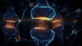 Biology Nerve Cell Biomedicine concept, 3d rendering. Neurotransmitter Release, Synaptic Transmission In The Brain, Information Transfer Of Between Neurons. Synapse
 - Powered by Shutterstock - Get 15% off with code: PIKWIZARD15
