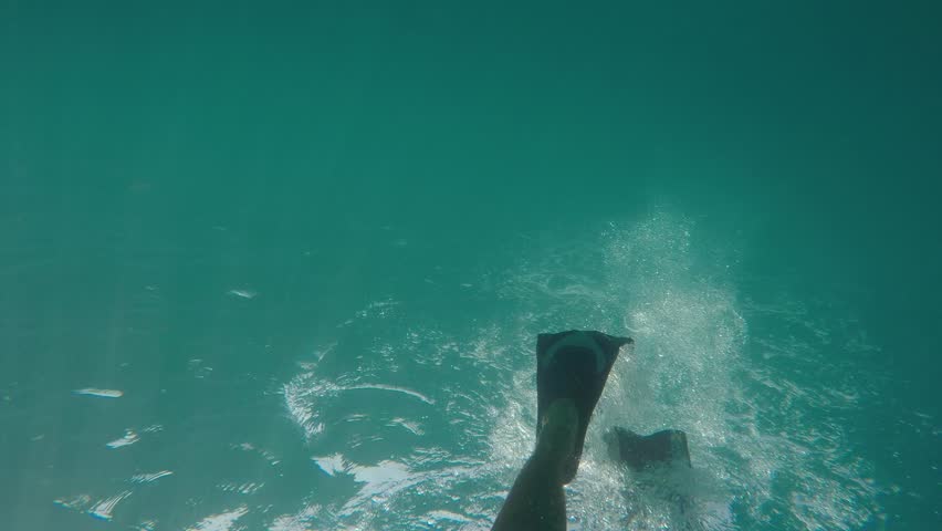 Snorkel fins flip in the blue water as someone swims on the surface of the ocean