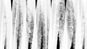 Animation of brush strokes filling the screen with vertical zig zag lines. Painting reveal transition. Doodle Marker, Brush, Pen, chalk. - Powered by Shutterstock - Get 15% off with code: PIKWIZARD15