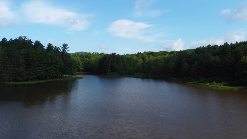 A drone shot of a flock of geese flying over a fishing pond in Upstate New York, United States - 4k