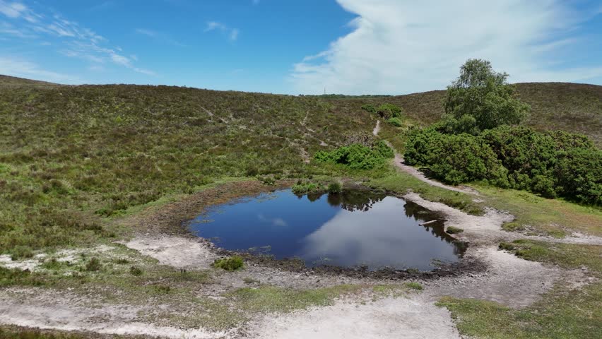 New Forest Hampshire .Slow low drone flight over pool crossing the water and rising up bank showing extensive scenery and tracks across the heathland landscape on sunny day in early Summer