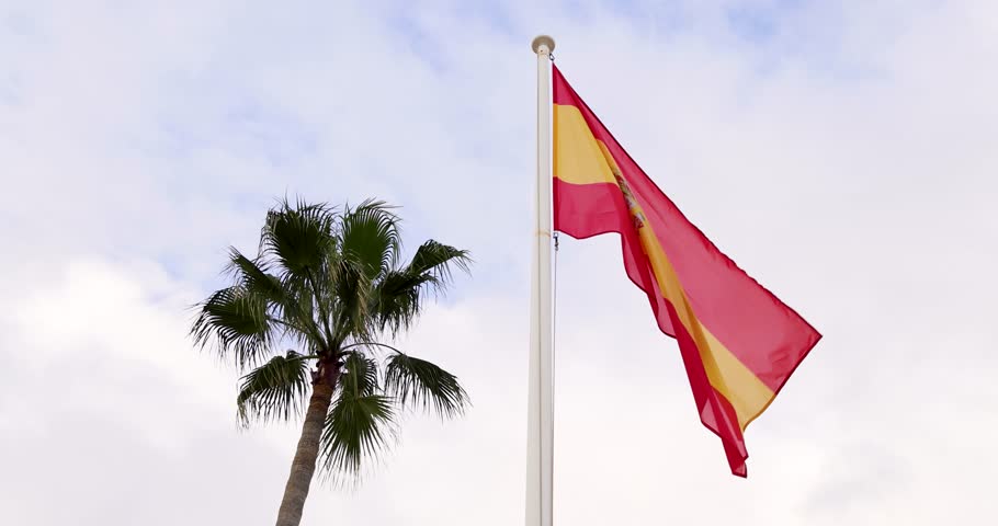 Slow motion footage of a Spanish flag blowing in the wind with a palm tree behind the flag filmed in slowed down motion