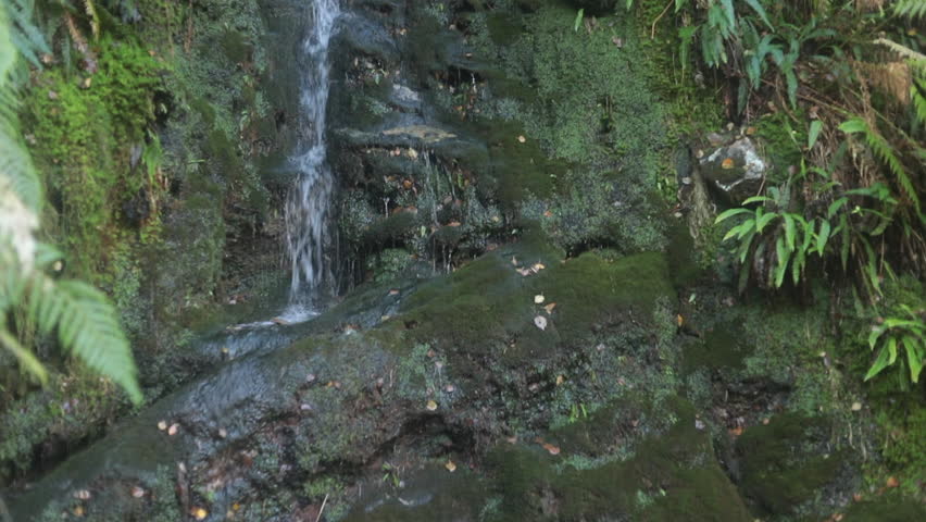 A serene waterfall cascades over mossy rocks surrounded by lush greenery in Glendalough, Ireland