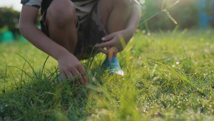 Adorable little kid boy play green plant on meadow grass morning sun light outdoor ralax