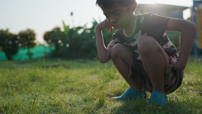Adorable little kid boy play green plant on meadow grass morning sun light outdoor ralax