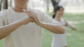Peaceful elder man and young woman practicing Tai Chi in a serene park. Mindfulness and wellbeing concept - Powered by Shutterstock - Get 15% off with code: PIKWIZARD15