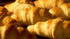 French croissants baking in oven. Homemade bakery. Croissants rising up in oven. Freshly baked croissant. Bakery concept. Close-up in 4K, UHD - Powered by Shutterstock - Get 15% off with code: PIKWIZARD15